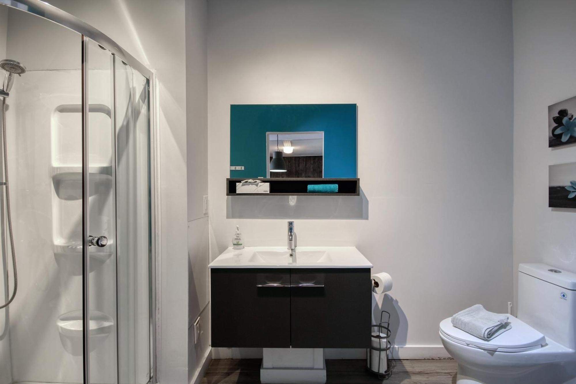 Loft De L'antiquaire By Hebergements Dcl Apartment