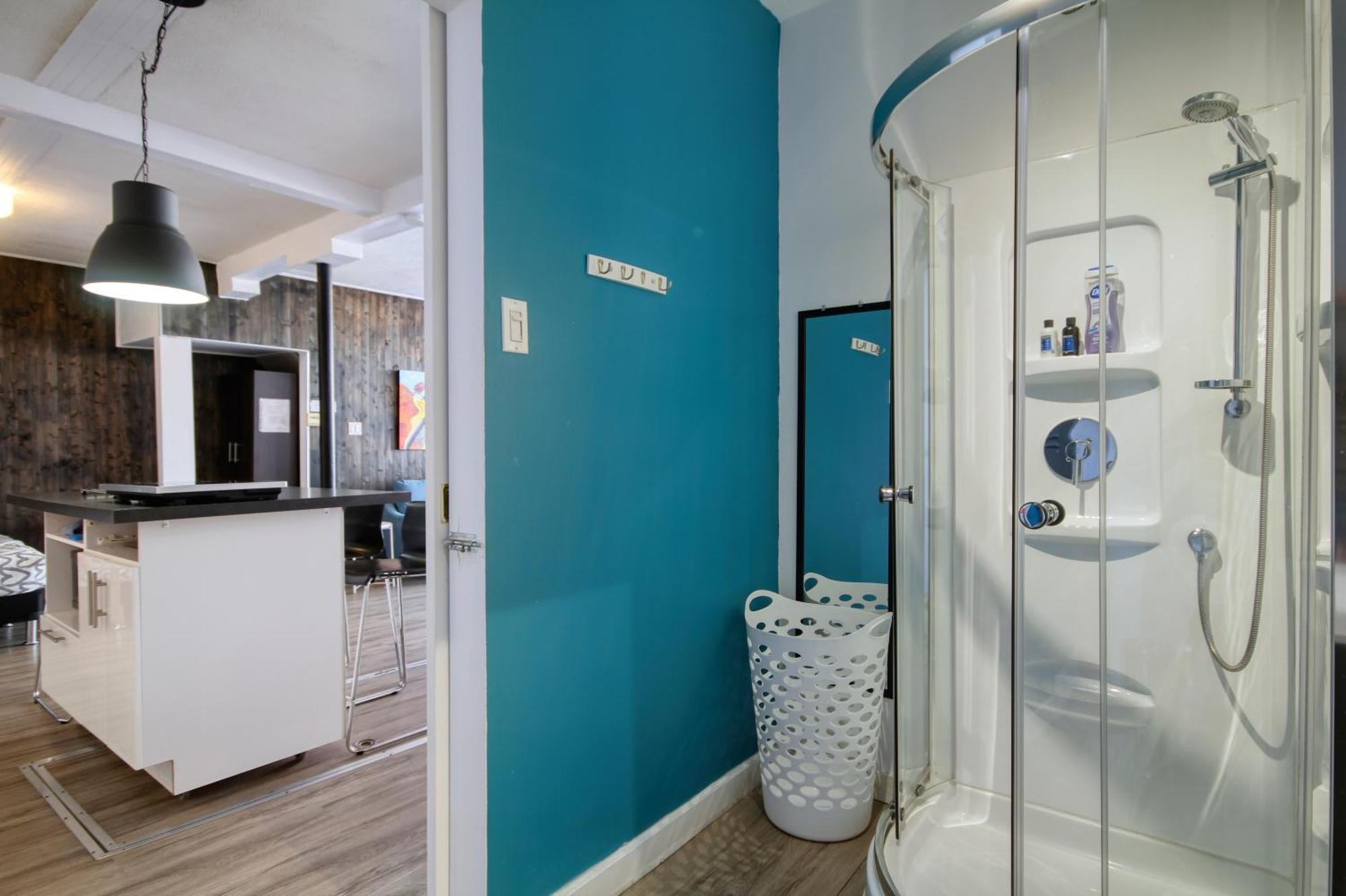 Loft De L'antiquaire By Hebergements Dcl Apartment *